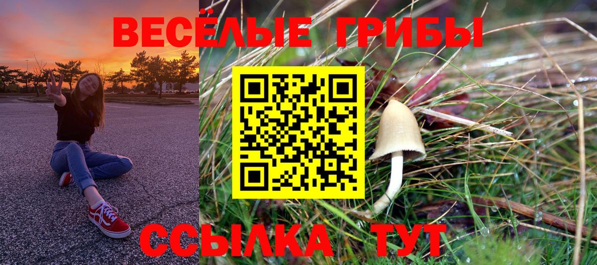 Псилоцибиновые грибы MAGIC MUSHROOMS Благовещенск